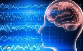 eeg